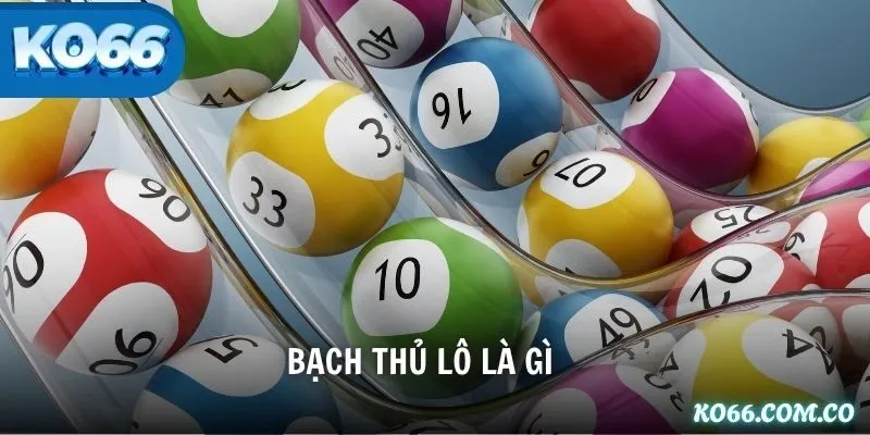 Bạch Thủ Lô Là Gì? Giải Mã Bí Kíp Săn Lô Chuẩn Xác Từ Cao Thủ