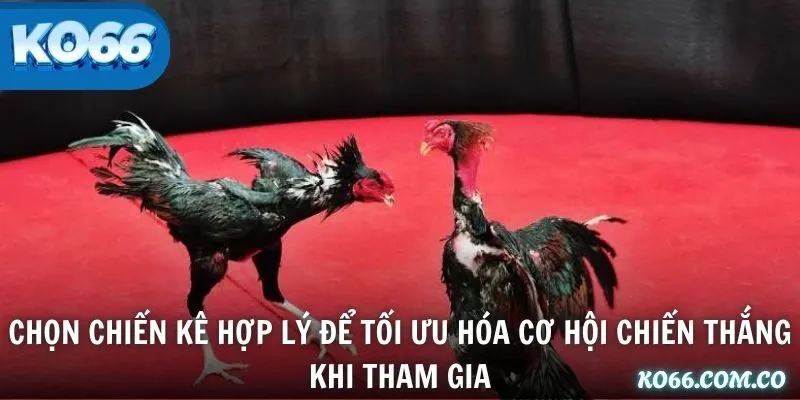 Chọn chiến kê hợp lý để tối ưu hóa cơ hội chiến thắng khi tham gia